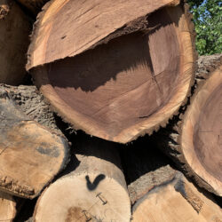 Whately Wood Products